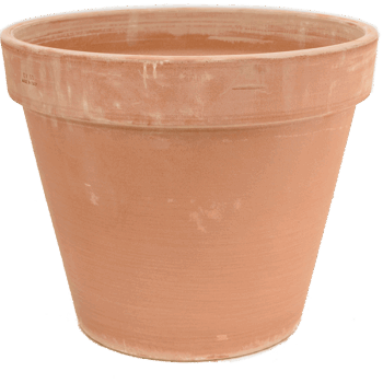 Terra Cotta Flowerpot Antiques