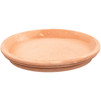 Terra Cotta Saucer Antiques