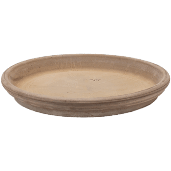 Terra Cotta Saucer Grey