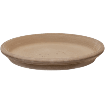 Terra Cotta Saucer Grey