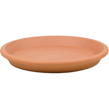 Terra Cotta Saucer