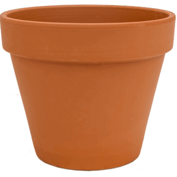 Terra Cotta Flowerpot