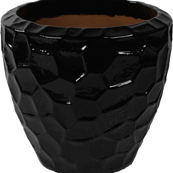 Cascara Couple Relief Black Shiny