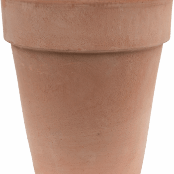 Terra Cotta Flowerpot High Antiques