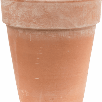 Terra Cotta Flowerpot High Antiques