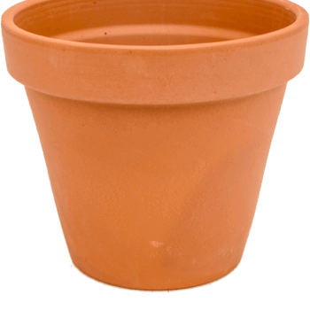 Terra Cotta Flowerpot
