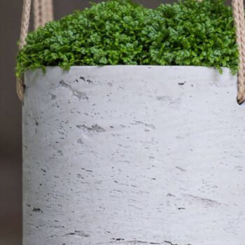 Charlie XS (hanging)