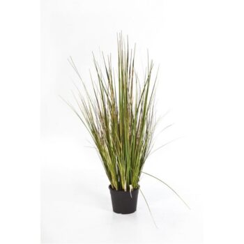 Bamboo grass x 5