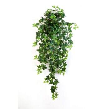 Green ivy hanging bush x 15