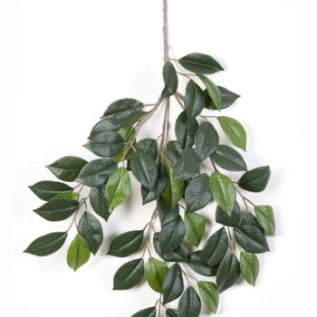 Flame retardant camelia spray x 3