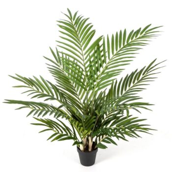 Forest areca palm w/p 80 cm