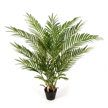 Forest areca palm w/p 100 cm