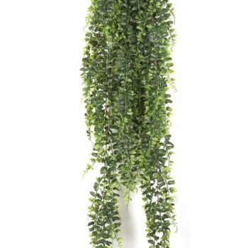 Boston fern hanging bush 100 cm