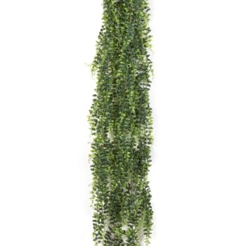 Boston fern hanging bush 140 cm