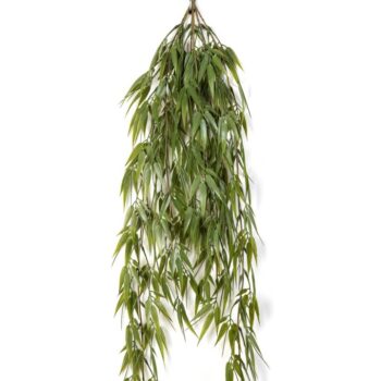 Bamboo hanging bush 60 cm