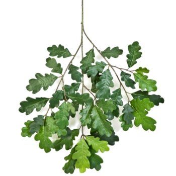 Flame retardant common oak spray