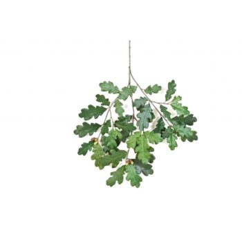 Common oak spray with fruits