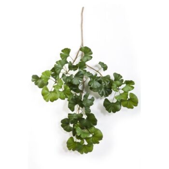 Sweet gingko spray x 52