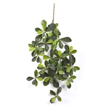 Flame retardant oriental olive spray