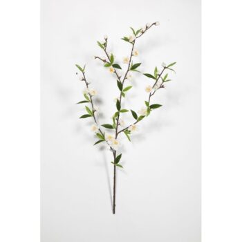 Cherry blossom spray cream