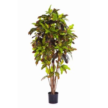 Flame retardant croton bush tree
