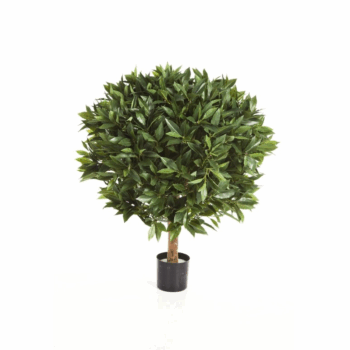 80 cm laurel ball de luxe