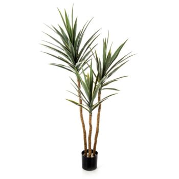 Yucca tree de luxe x 3