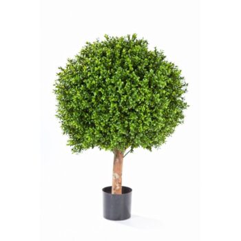 Boxwood ball 80 cm