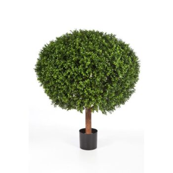 Boxwood ball 100 cm