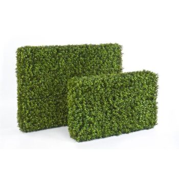 Boxwood hedge 55x95 cm