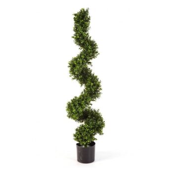 Boxwood spiral tree 135 cm