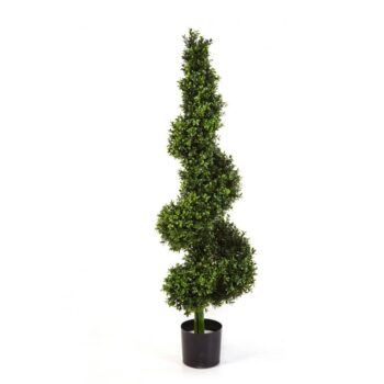 Boxwood royal spiral tree 135 cm