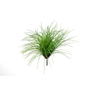 Forest grass bunch x 7