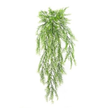 Springeri hanging bush x 11