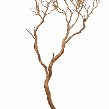 Decowood Manzanita sandblasted