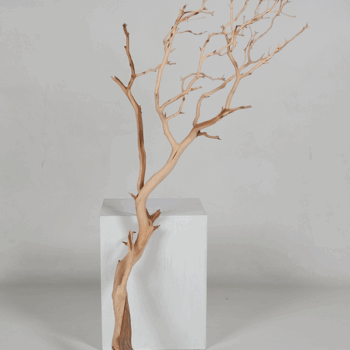 Decowood Manzanita sandblasted