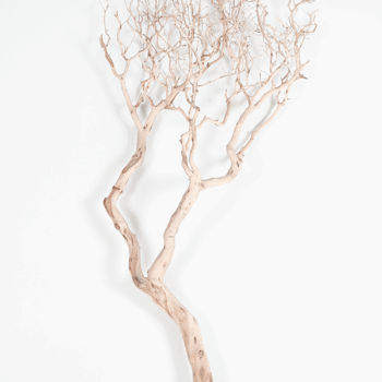 Decowood Manzanita sandblasted