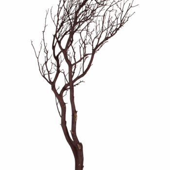 Decowood Manzanita brown