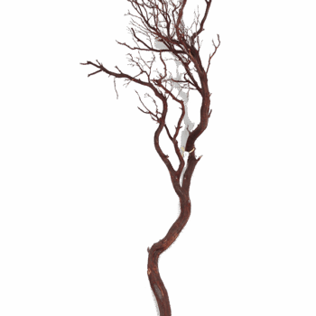 Decowood Manzanita brown