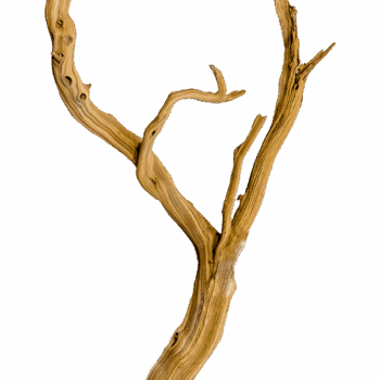 Decowood Ghostwood sandblasted