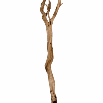 Decowood Ghostwood sandblasted