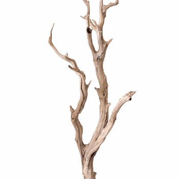 Decowood Ghostwood sandblasted