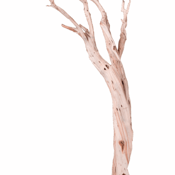 Decowood Ghostwood sandblasted