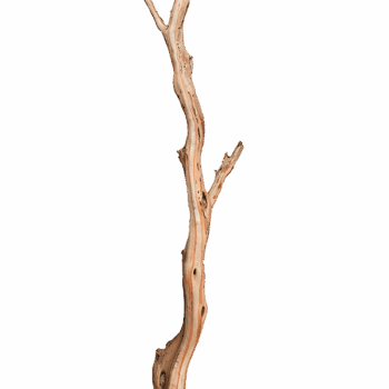 Decowood Ghostwood sandblasted log