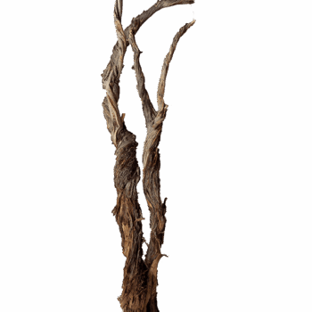 Decowood Ghostwood raw