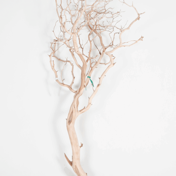 Decowood Manzanita sandblasted