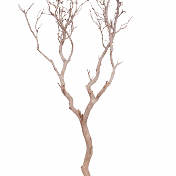 Decowood Manzanita sandblasted