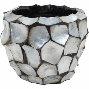 Baq Oceana Pearl Couple Blue