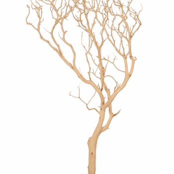 Decowood Manzanita sandblasted