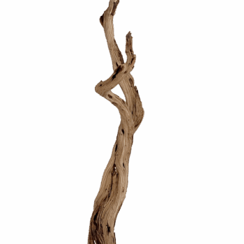 Decowood Ghostwood sandblasted